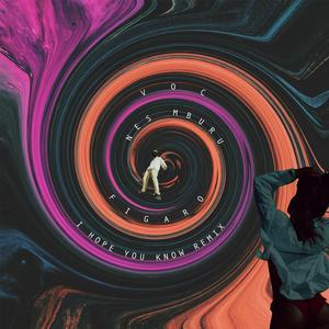 I Hope You Know (Remix)