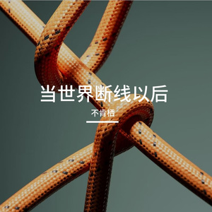 当世界断线以后