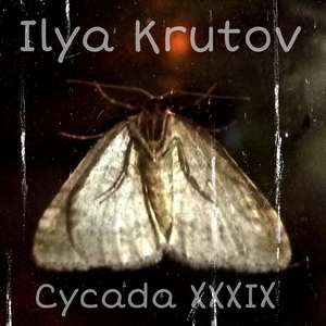 Cycada XXXIX