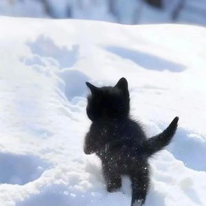 雪花‘90s Rnb Type Beat'