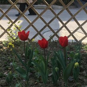 拼个世界给自己