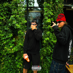 Серые данки