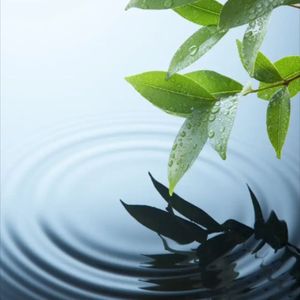 一路生花