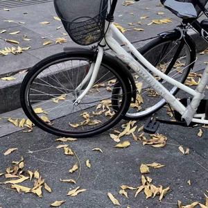 如一(烟嗓女版)