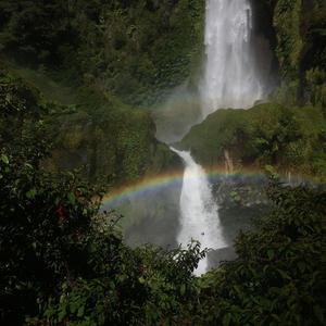 Mutaciones (bioanarquía)