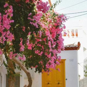 如果我不是我（cover李宇春）