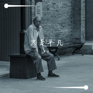 只是平凡 吉他指弹