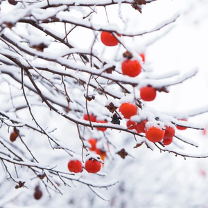 最美风景在身后