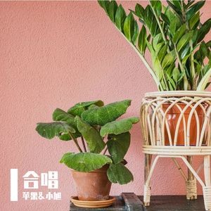 纸船（翻自郁可唯&薛之谦）（翻自 郁可唯&薛之谦）