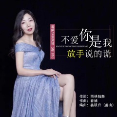 不爱你是我放手说的谎