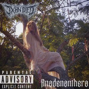 Anadenanthera