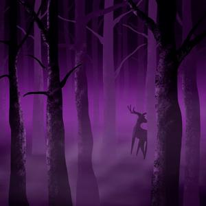 Get Loose{迷雾之森}(1)