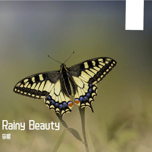 【商用私信】Rainy Beauty