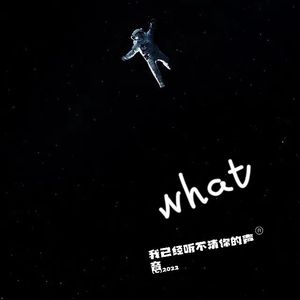 我已经听不清你的声音