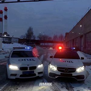 The face（人面兽心）