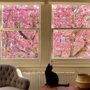 [FREE]"Recall"Guitar Type Beat