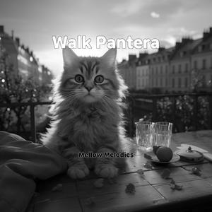 Against The Kitchen Floor