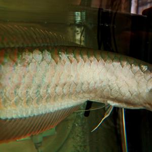 纪念一切没有的