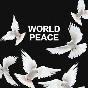 Echoes of Resilience
