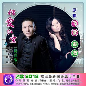 错爱红尘-舞曲版