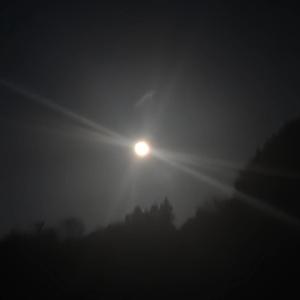 光に還る魂(World Peace Song)