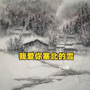 我爱你塞北的雪（C14版）