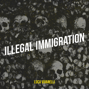 Illegal Immigration