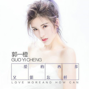 爱的再多又能怎样 (DJ何鹏版)