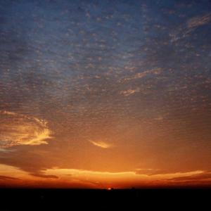 Ill Give You Everything