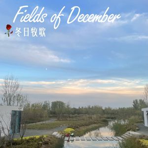 Fields of December (冬日牧歌）