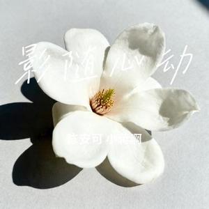 影随心动