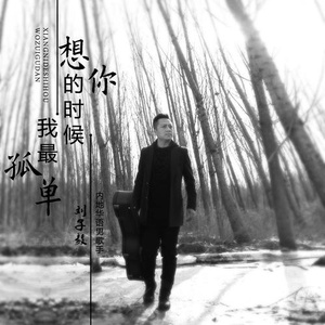 想你的时候我最孤单