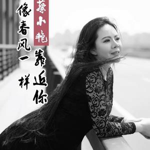 像春风一样靠近你 (DJ版)