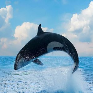 无终之章的故事留白