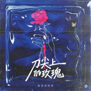 岛屿和大海 (DJ周豪版)降调版