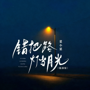 错把路灯当月光(摇滚版)