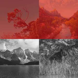 抚慰的餐厅回忆