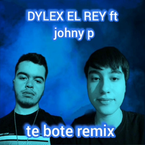 Te Bote Remix
