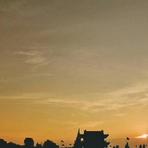 梦在无梦的夜里