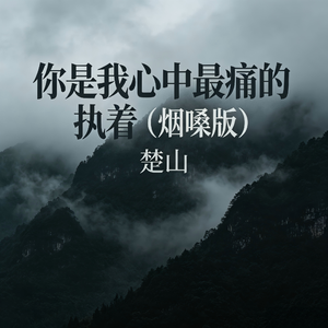 你是我心中最痛的执着(烟嗓版)