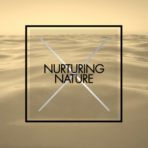 Colliding (Waves)