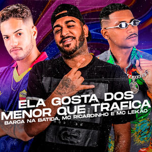 Ela Gosta dos Menor Que Trafica (Brega Funk)