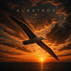 Albatros