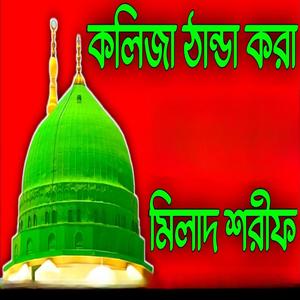 শীতলকারী নতুন মিলাদ শরীফ। এ বছরের নতুন মিলাদ কিয়াম। বা নবী সালামুন আলাইকা।