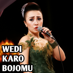 WEDI KARO BOJOMU