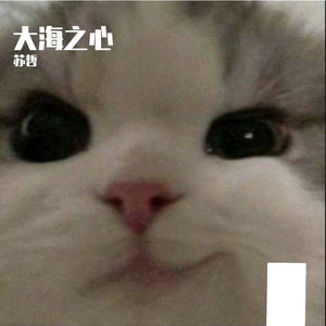 海之心
