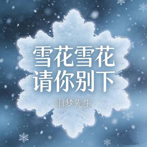 雪花雪花请你别下