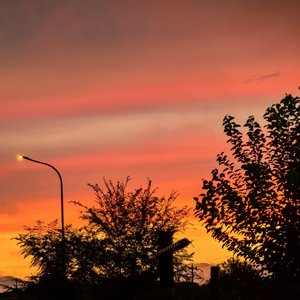 橘子汽水告白式