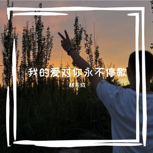 我的爱对你永不停歇