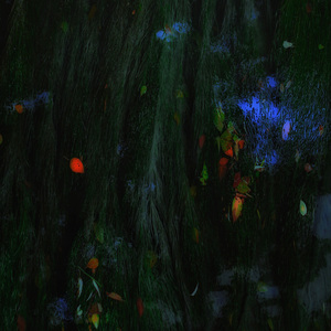 我不愿温良地走进这夜里